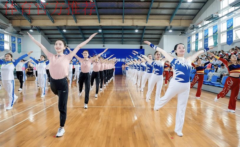 上海市民运动会匹克球项目总决赛举行 上海市民运动会匹克球项目总决赛举行